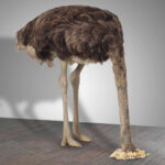 Maurizio Cattelan